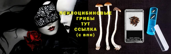 стафф Новозыбков
