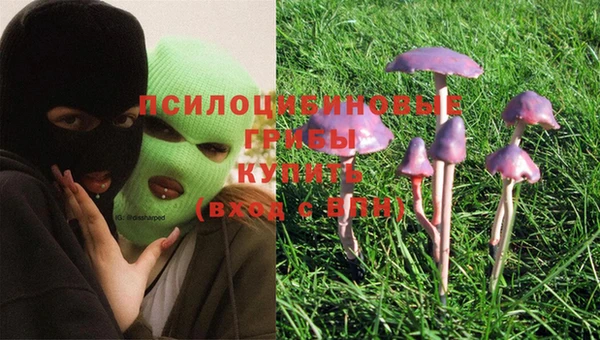 а пвп мука Нягань