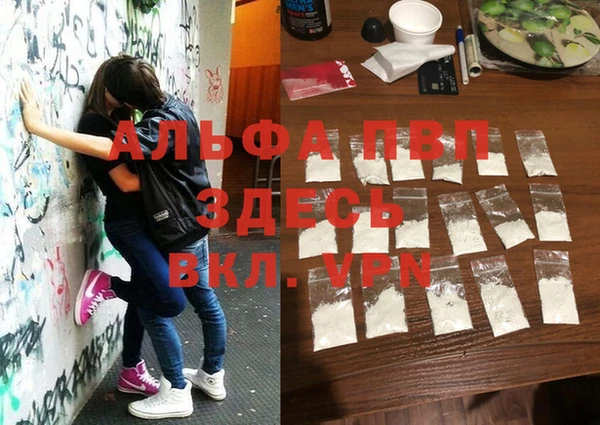 мяу мяу мука Новодвинск