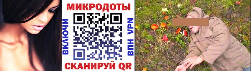 купить  цена  Новокубанск  Галлюциногенные грибы Psilocybine cubensis 